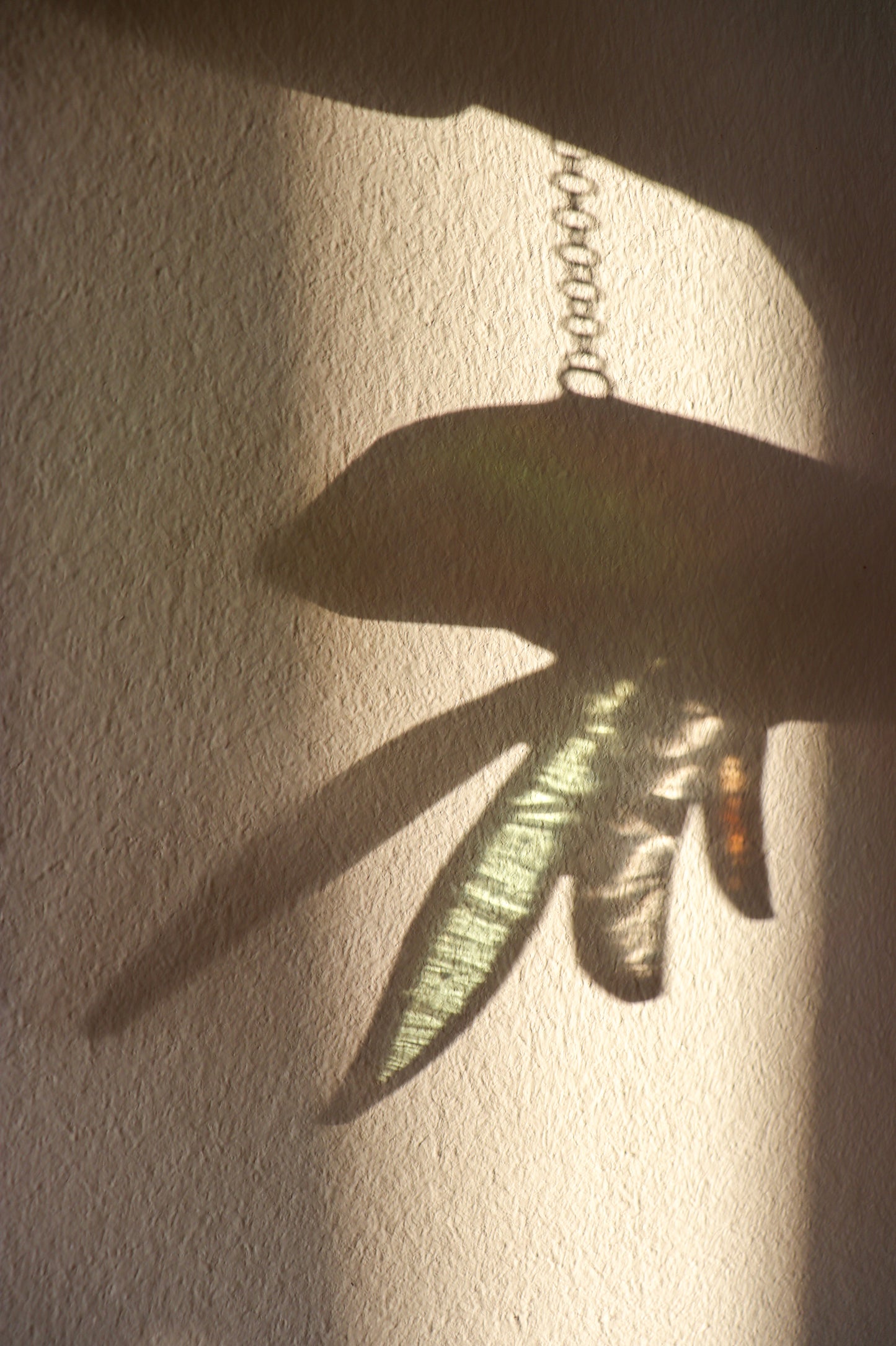 Suncatcher- Jellyfish