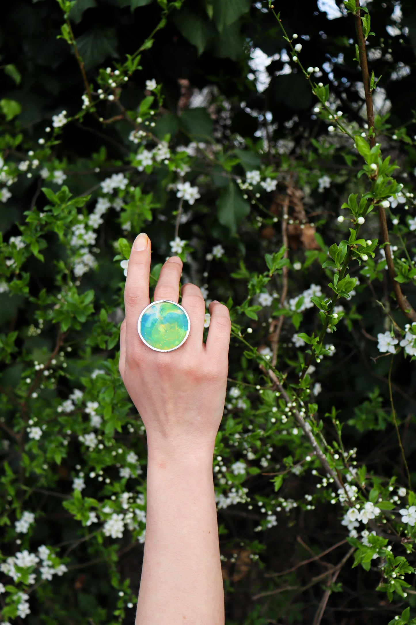 Circle rings / Coloured