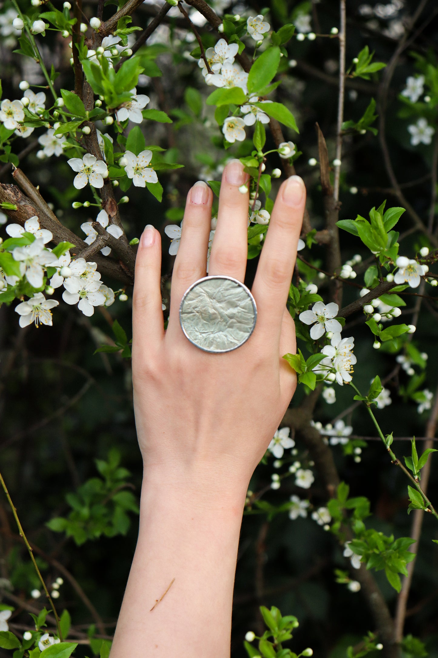 Circle rings / Icy