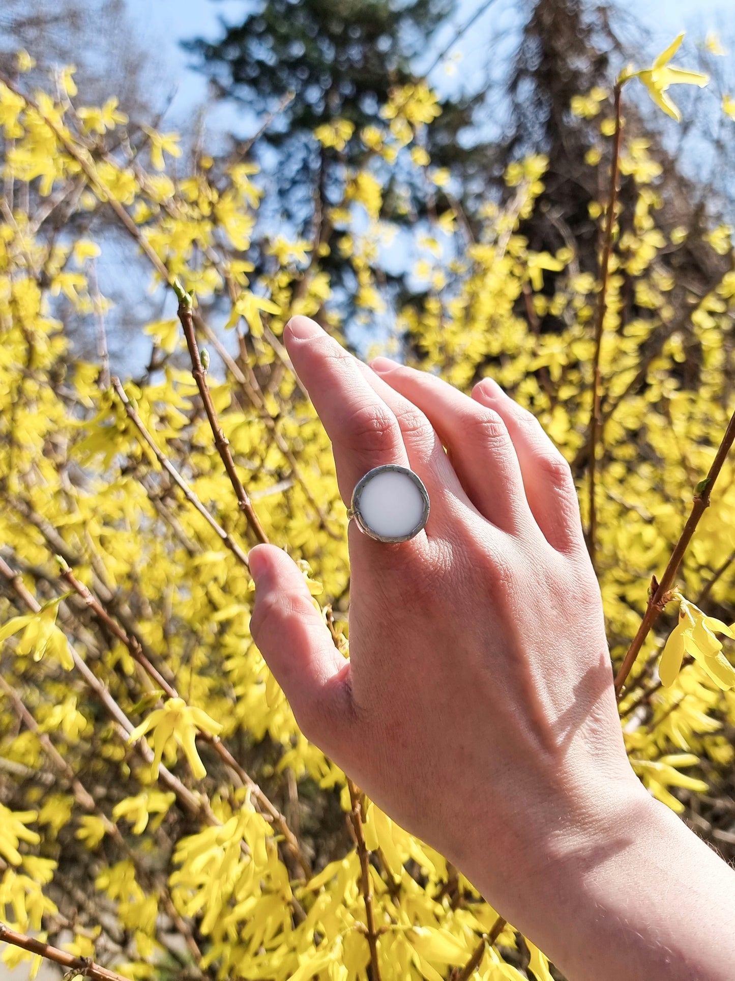 White circle rings