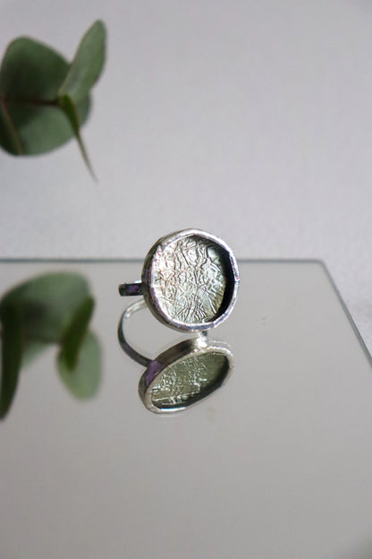 Circle rings / Icy