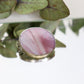 Circle brooches