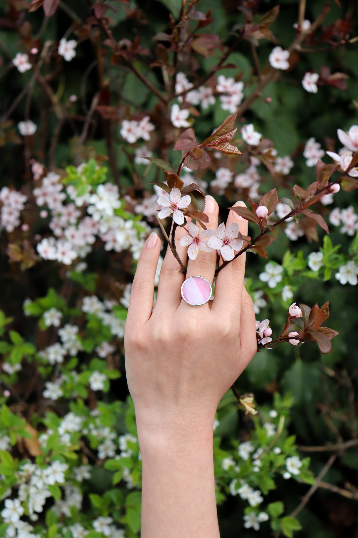 Circle rings / Pink