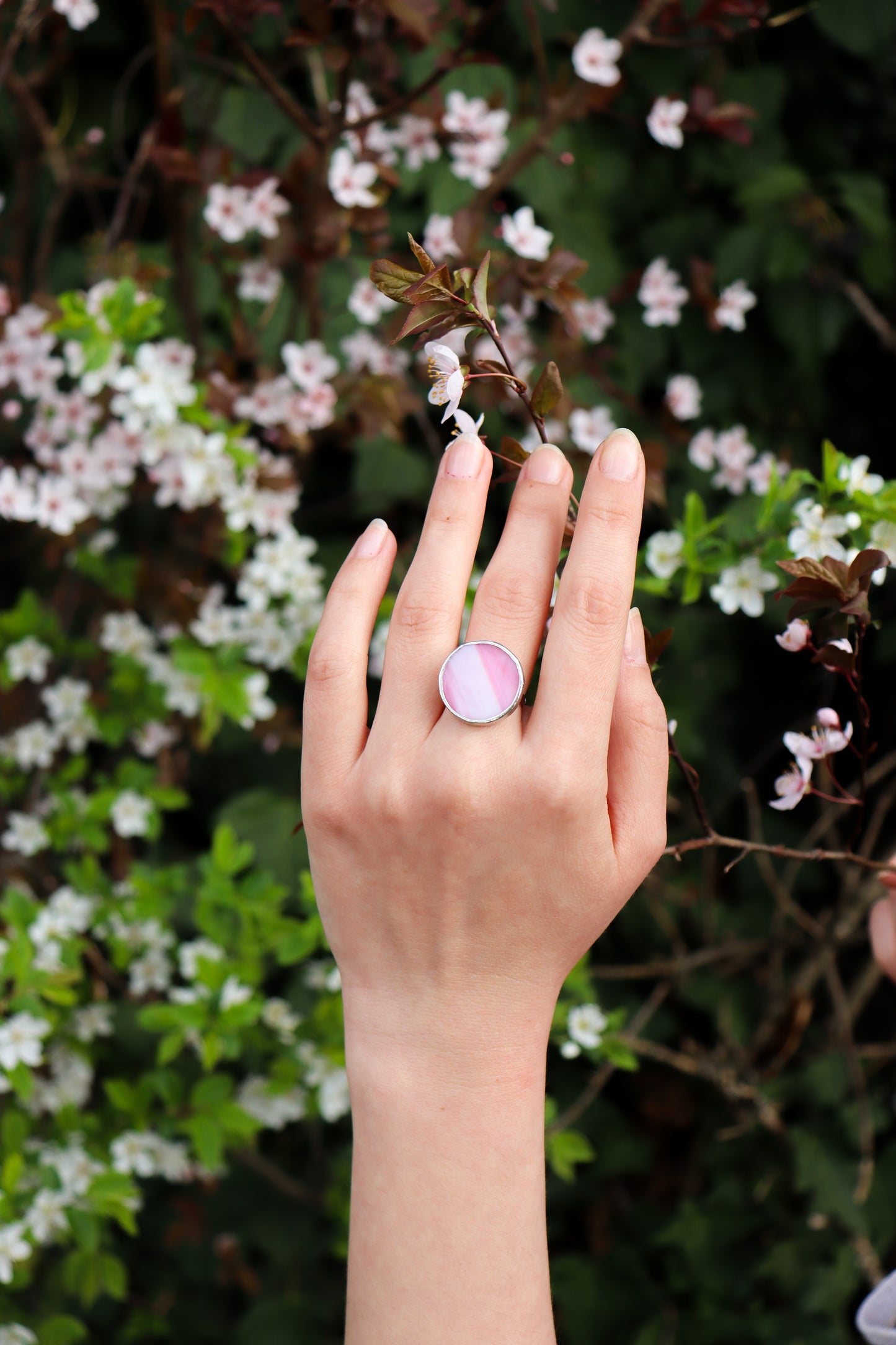 Circle rings / Pink