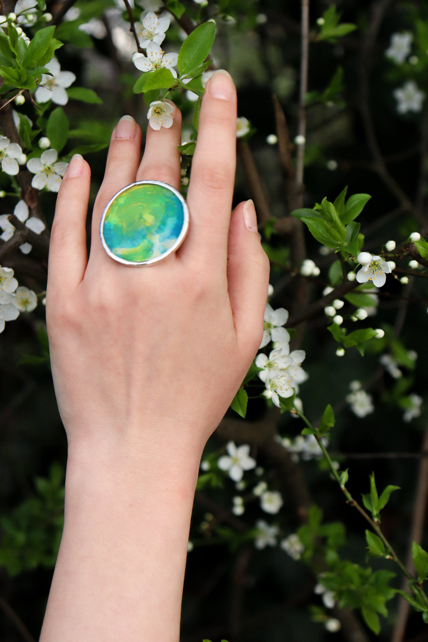 Circle rings / Coloured