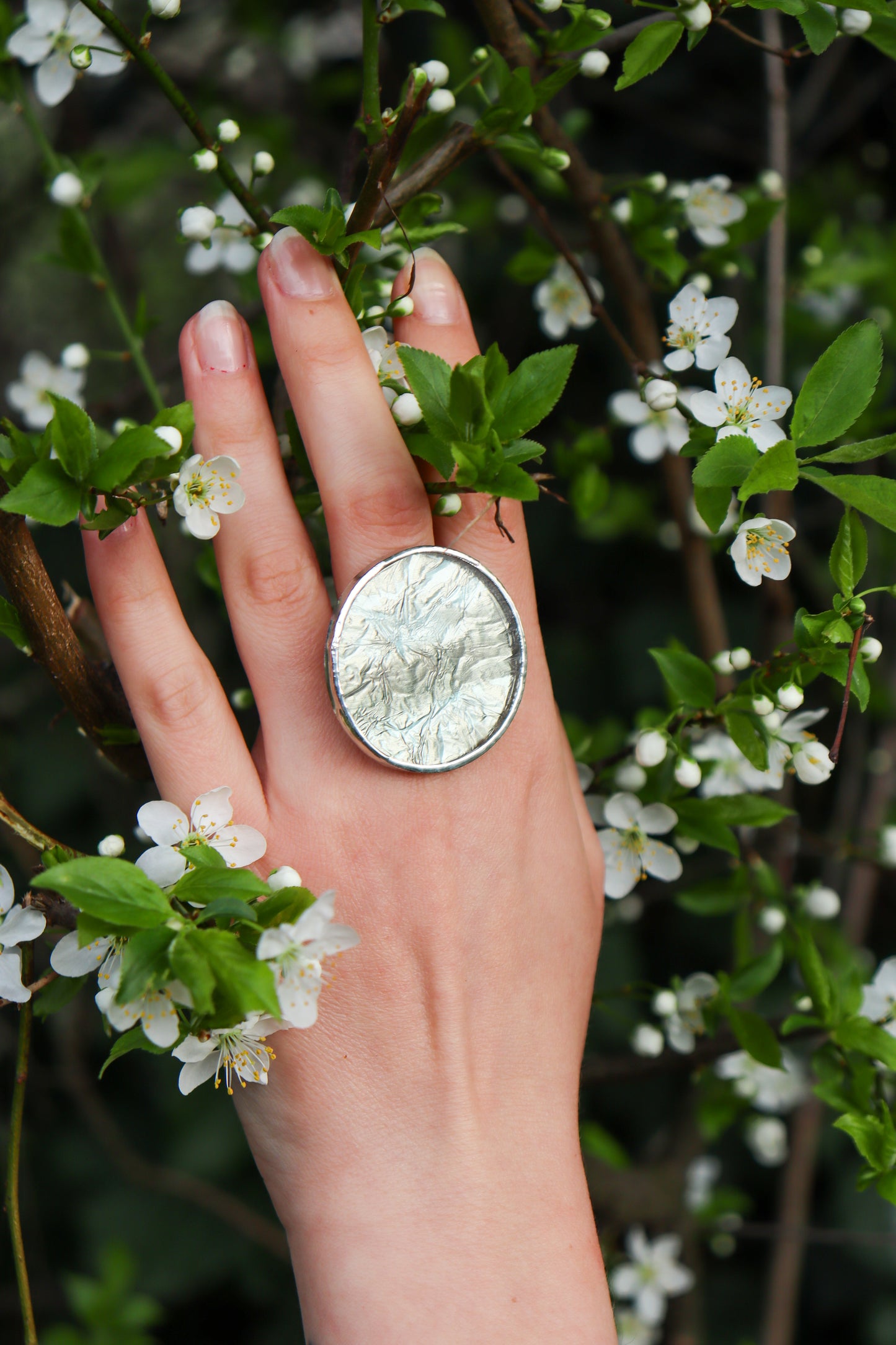 Circle rings / Icy