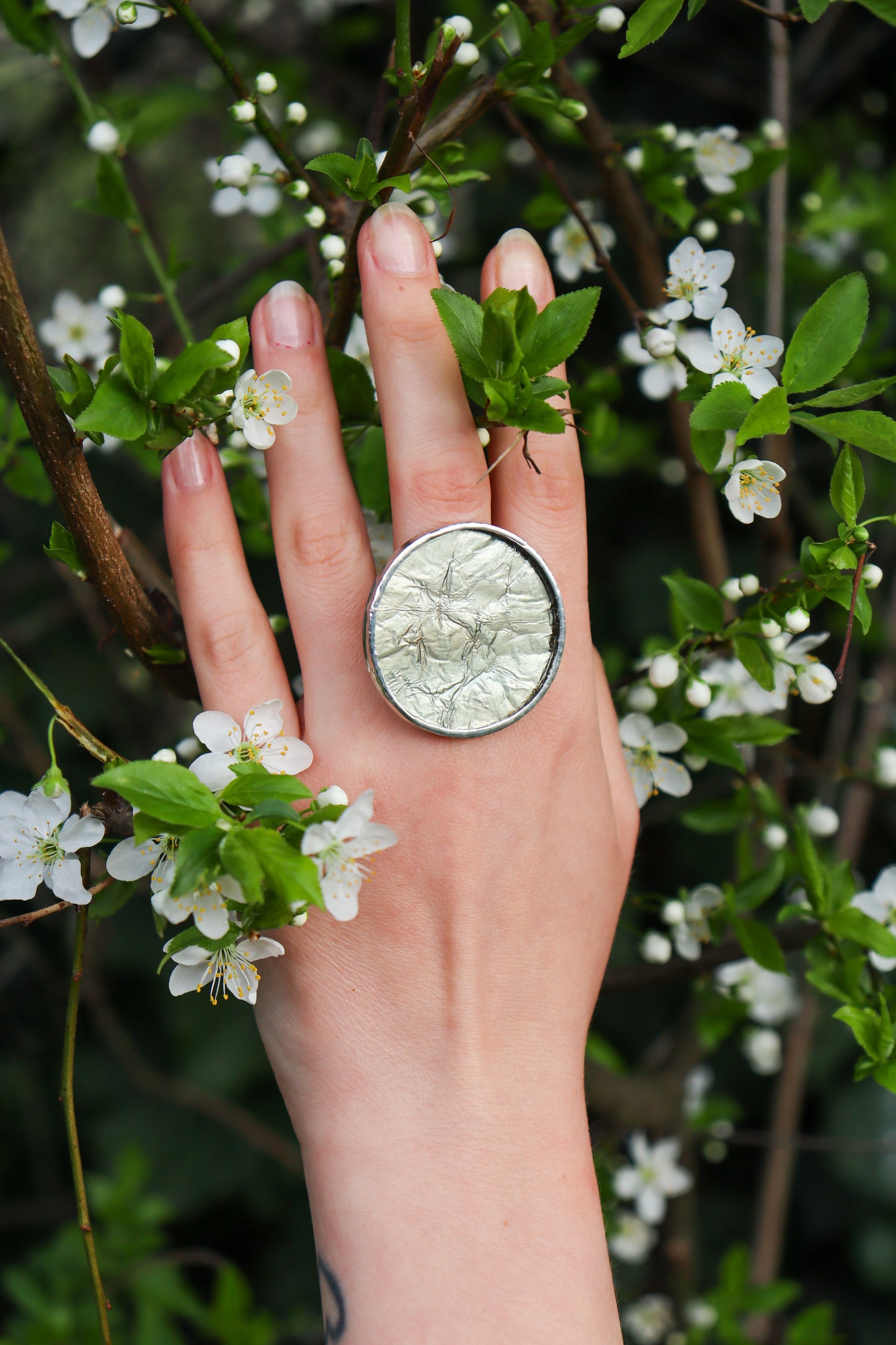 Circle rings / Icy