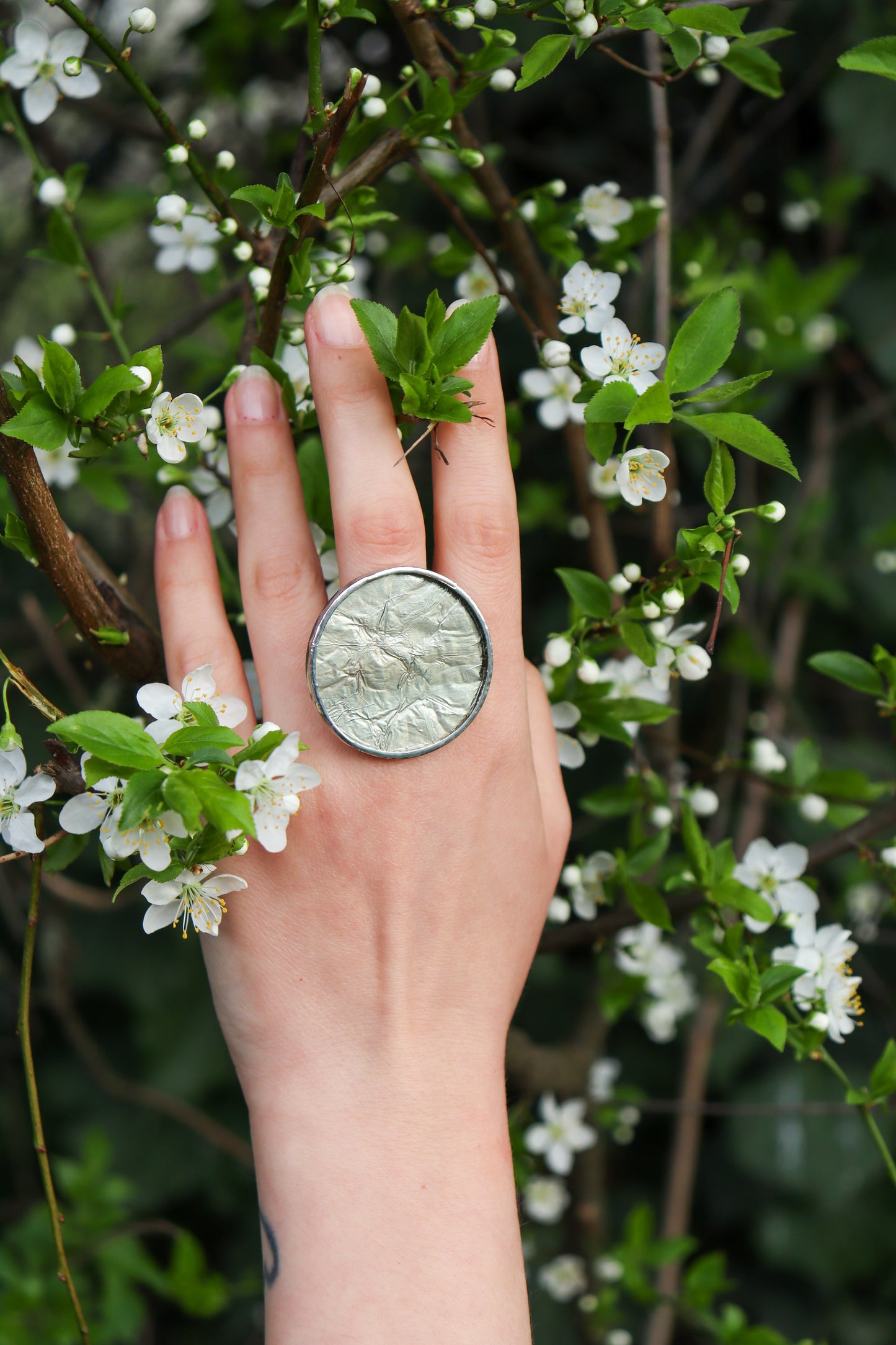 Circle rings / Icy