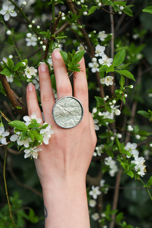 Circle rings / Icy