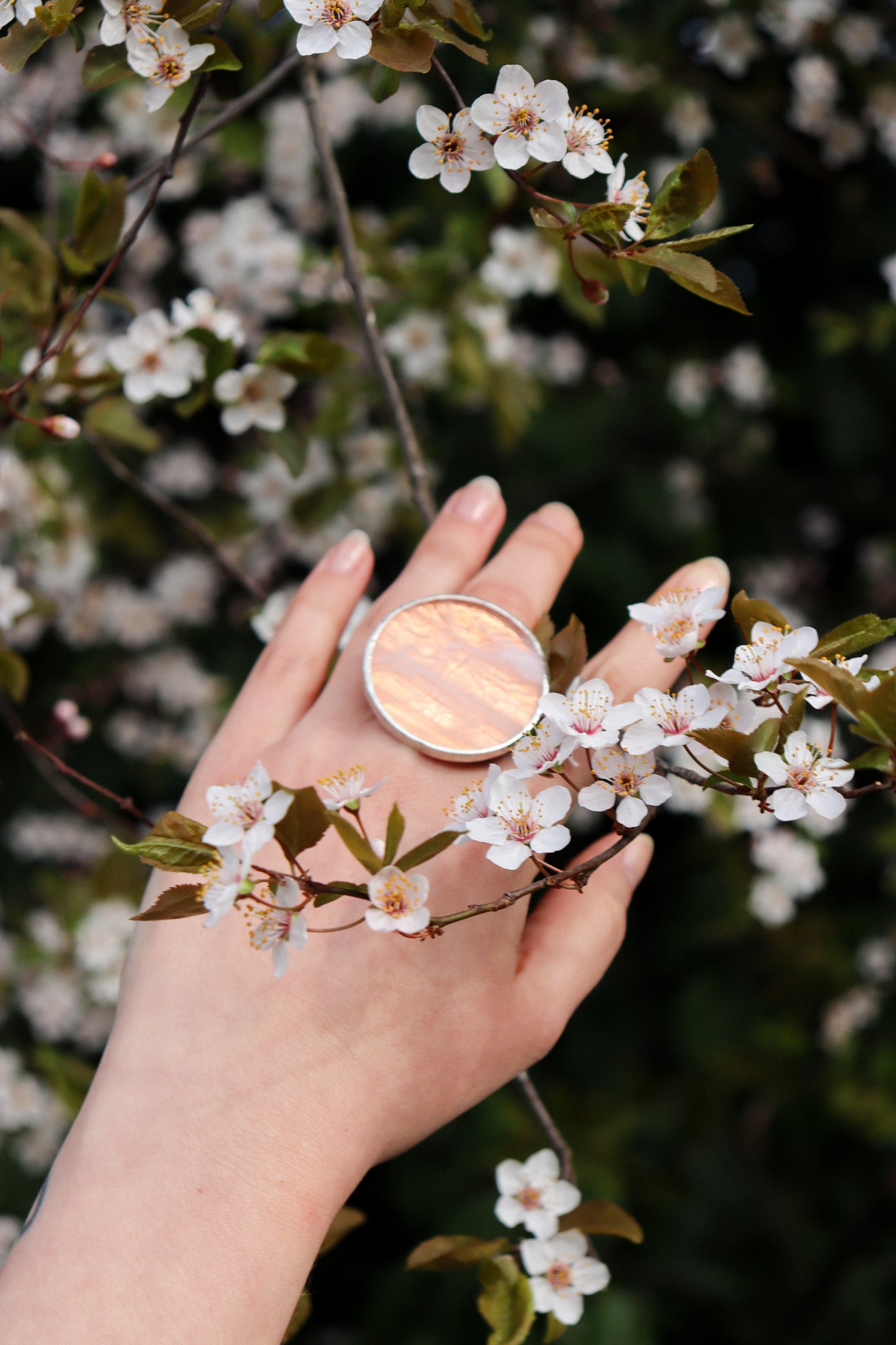 Circle rings / Creamy pink
