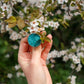 Turquoise circle rings