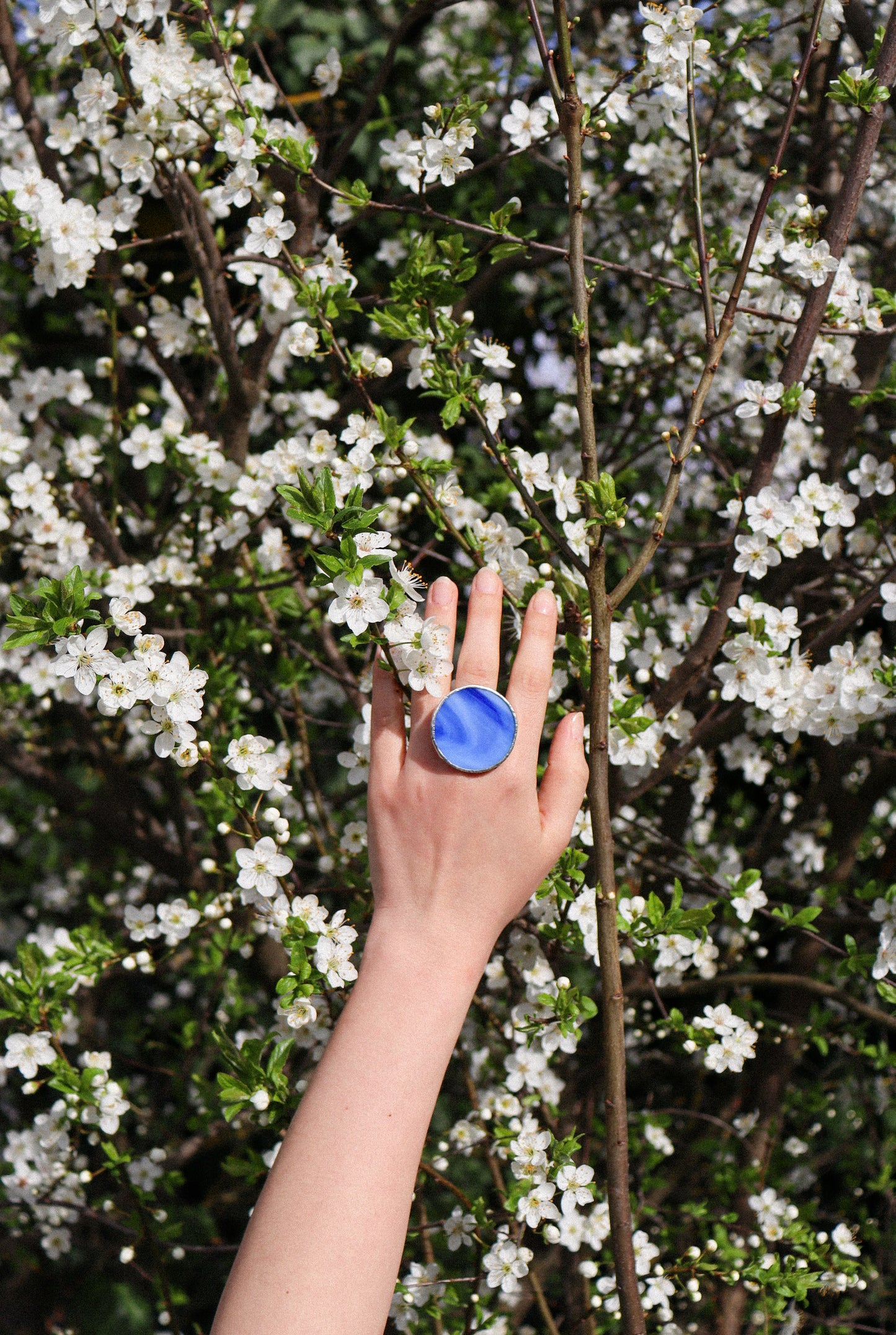 Cobalt blue circle rings