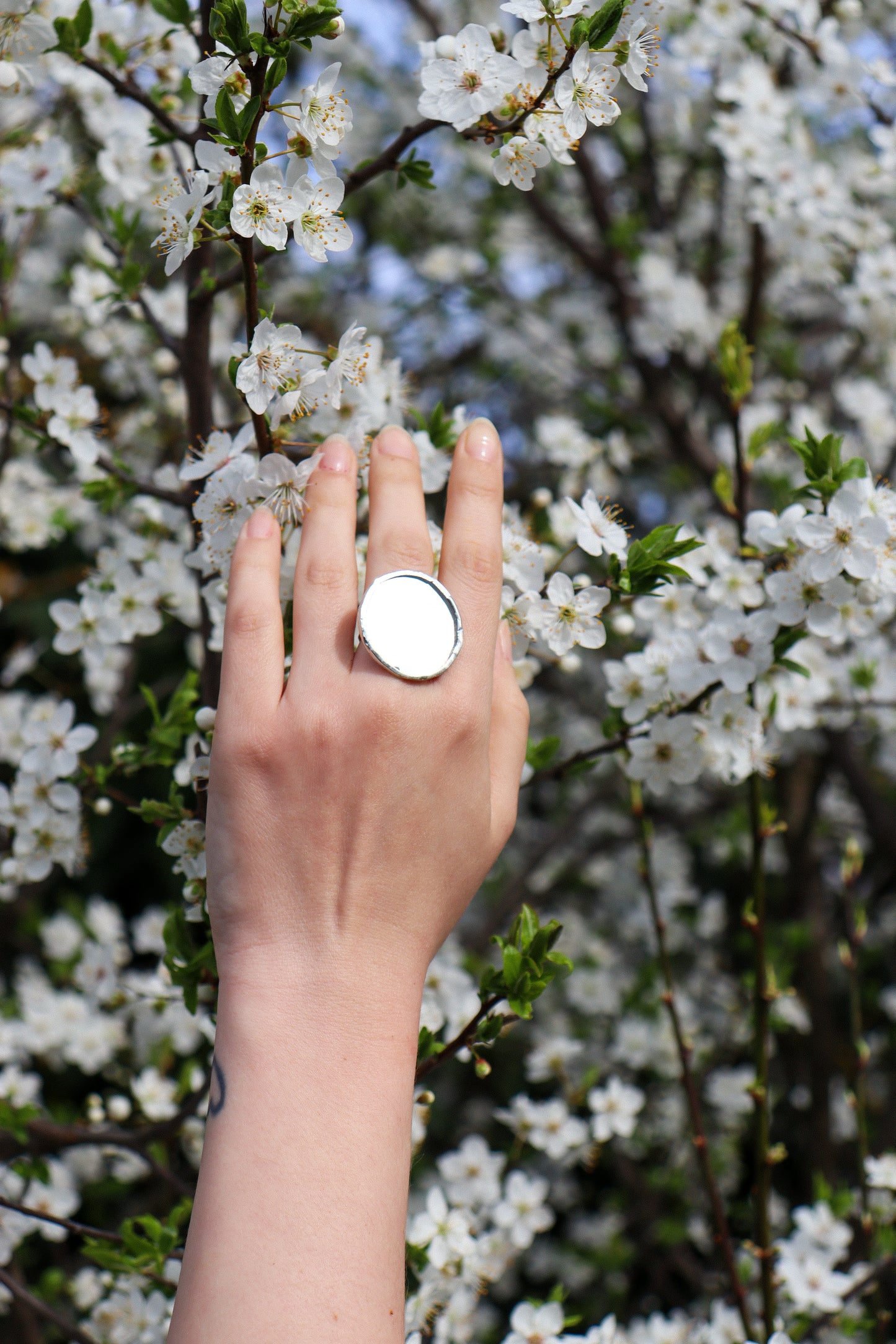 Circle rings / Mirror