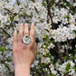 Circle rings / Mirror