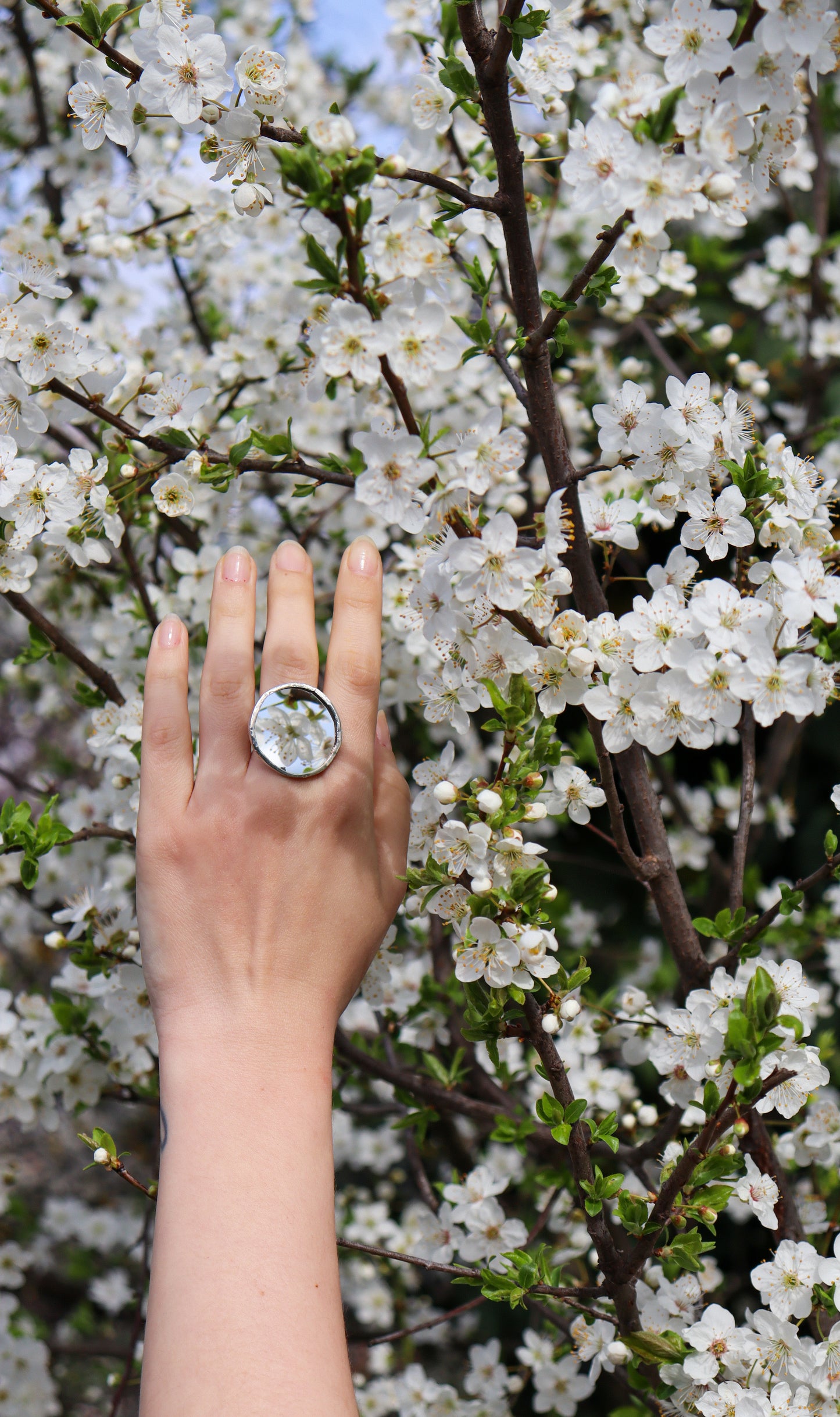 Circle rings / Mirror