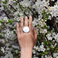Circle rings / Mirror