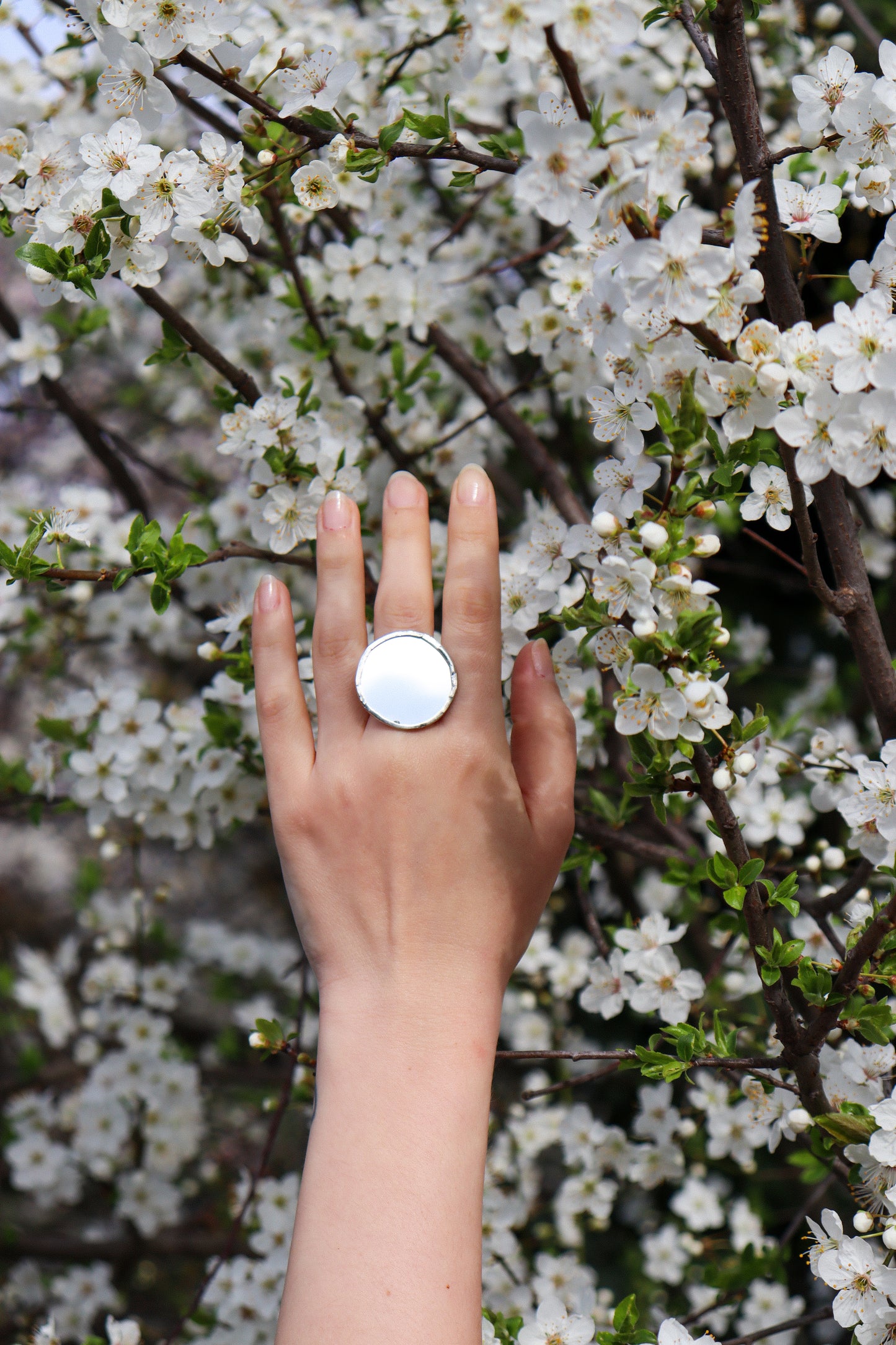 Circle rings / Mirror