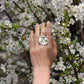 Circle rings / Mirror