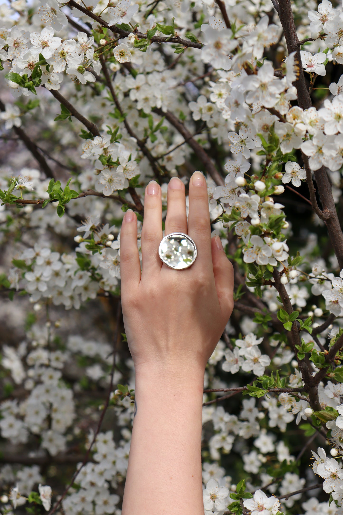 Circle rings / Mirror