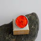 Orange circle rings