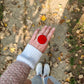 Deep red circle rings